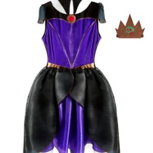Disney Evil Queen Costume